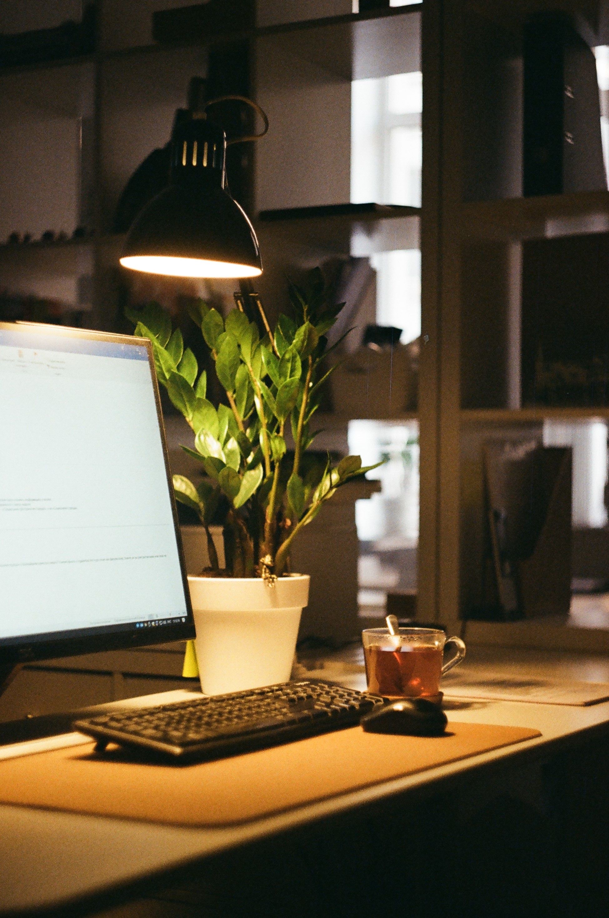 Professional at desk managing executive operations
